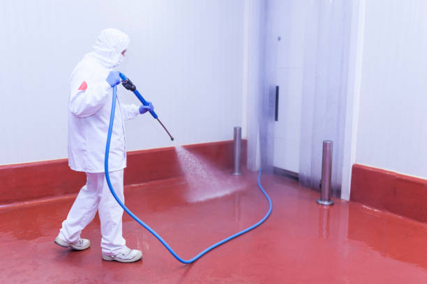 Pre-Holiday Cleaning in Country Homes, WA